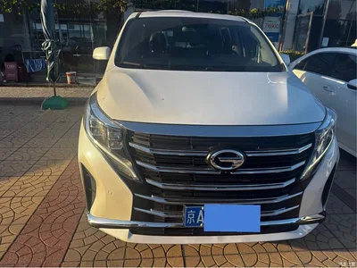 2021 GAC Trumpchi Trumpchi M8 Leading Show Series 390T Ultimate Edition, фото 2, лот 11008052