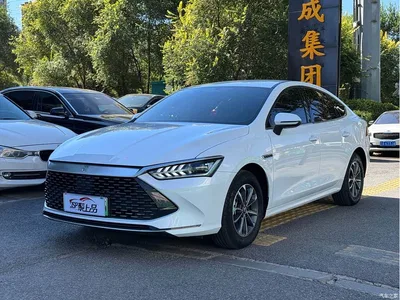 2024 BYD Qin PLUS Glory Edition DM-i 55KM Leading, фото 1, лот 11534028