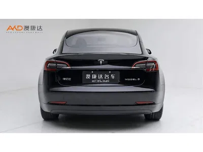 2022 Tesla Model 3 Model Rear-Wheel Drive Version, фото 4, лот 11567593