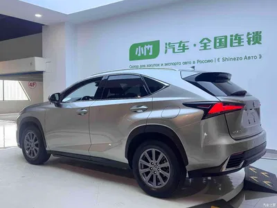 2020 Lexus NX 200 AWD F Sport China V, фото 4, лот 10446003