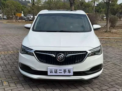 2019 Buick GL6, фото 2, лот 10244342