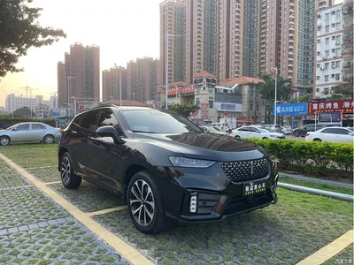 2020 WEY VV7 2.0T Super Luxury, фото 3, лот 10765300