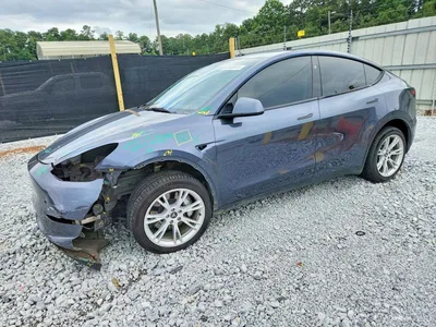 2023 TESLA MODEL Y, фото 1, лот 10852477