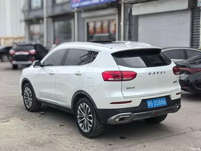 2020 Haval H6 1.5GDIT Automatic Platinum Champion Edition, фото 4, лот 10281558