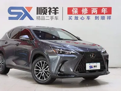 2023 Lexus NX 260 FWD Creative Travel Special Edition, фото 3, лот 10829391