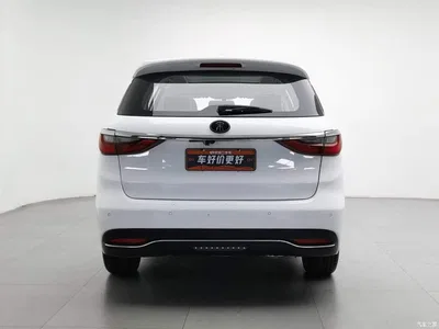 2017 BYD Song MAX 1.5T Auto Smart Elite 7-Seater, фото 4, лот 10247544
