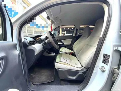 2024 Leapmotor T03 310 Comfort Edition, фото 4, лот 11140902