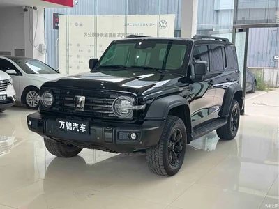 2021 Tank 300 Off-road Version 2.0T Conqueror, фото 1, лот 10384135