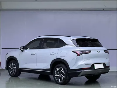 2024 Wuling Motors Wuling Xingguang S 510km Flagship Model, фото 4, лот 10834331