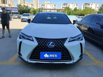 2020 Lexus UX 260h Explore Cool Edition, фото 2, лот 10316228