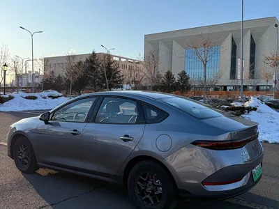 2025 BYD Qin PLUS DM-i Smart Drive 55KM Leader, фото 4, лот 10363010
