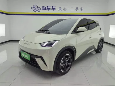 2023 BYD Seagull Freedom Edition, фото 1, лот 10246095
