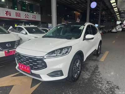 2020 Ford Escape EcoBoost 245 2WD Premium Edition, фото 1, лот 10397898