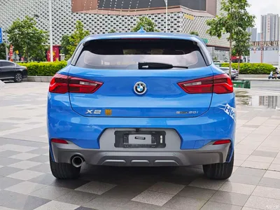 2019 BMW X2 (Import) sDrive20i M Off-Road Package China VI, фото 3, лот 10417567