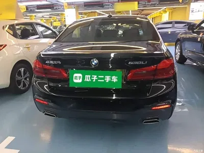 2020 BMW 5 Series 525Li M Sport Package, фото 4, лот 10765394