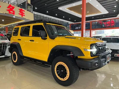 2022 Tank 300 2.0T Border Limited Edition, фото 3, лот 10344405