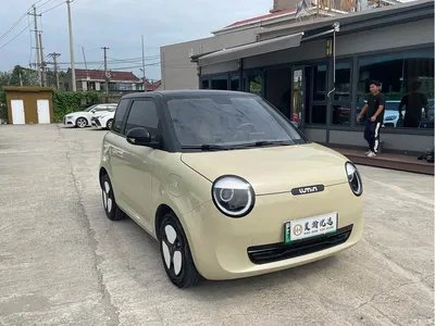 2024 Changan Qiyuan Changan Lumin 301km Voyage Edition, фото 2, лот 10403926