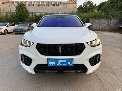 2019 WEY VV5 1.5T 2WD Style Pioneer, фото 2, лот 10451933