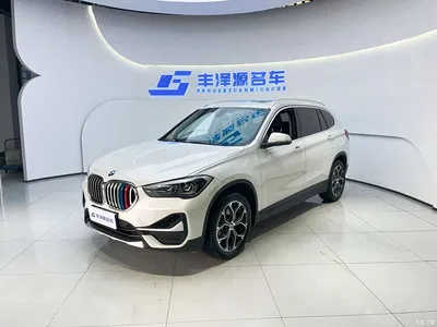 2022 BMW X1 sDrive25Li Leading, фото 1, лот 10418089