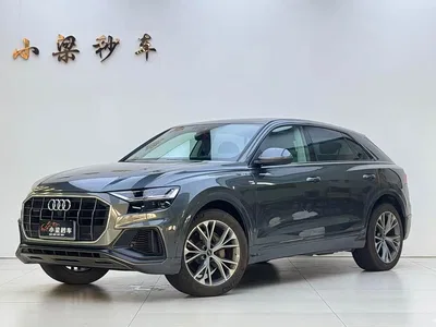 2021 Audi Q8 Model 55 TFSI Luxury Dynamic, фото 1, лот 10473906