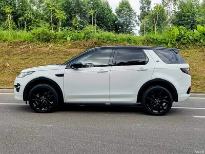 2019 Land Rover Discovery Sport 240PS SE Dynamic Edition China VI, фото 4, лот 10338082