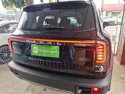2024 Haval Big Dog 1.5T DCT Border Collie Edition, фото 4, лот 10361292