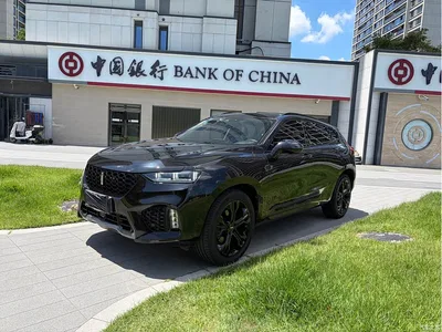2017 WEY VV7 2.0T Flagship, фото 1, лот 10613049