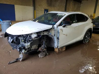 2020 LEXUS NX 300 F SPORT, фото 1, лот 10899969