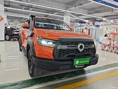 2021 Great Wall Pao 2.0T Off-Road Automatic Diesel 4WD Everest Edition GW4D20M, фото 4, лот 11073240