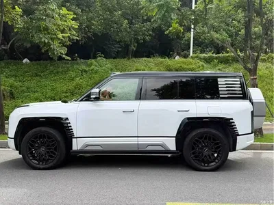 2023 Yangwang U8 Luxury Edition, фото 3, лот 11644015