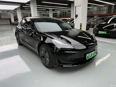 2023 Tesla Model 3 Rear-Wheel Drive, фото 3, лот 10346506