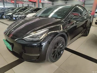 2021 Tesla Model Y Standard Range Rear-Wheel Drive, фото 2, лот 11081172