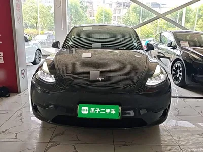 2024 Tesla Model Y Rear-Wheel Drive Version, фото 3, лот 10370079