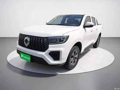 2023 Great Wall Pao 2.0T Commercial Manual Diesel 4WD Elite Long Box GW4D20M, фото 1, лот 10245987