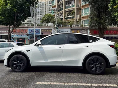 2024 Tesla Model Y Rear-Wheel Drive Version, фото 3, лот 10671543