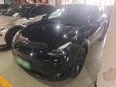 2022 Tesla Model Y Rear-Wheel Drive Version, фото 1, лот 11220233