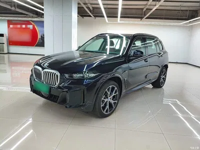 2023 BMW X5 xDrive 30Li Premium M Sport Black Night Package, фото 2, лот 10388215