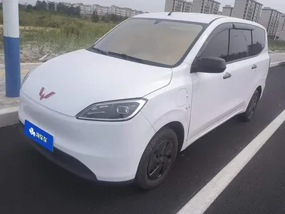 2024 Wuling Motors Wuling Hongguang New Energy Model Pure Electric 300KM Utility Version, фото 1, лот 11148129