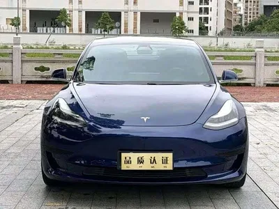 2019 Tesla Model 3 Standard Range Rear-Wheel Drive Upgrade, фото 1, лот 10598610