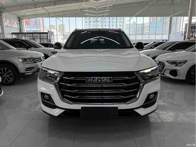2021 Haval H6 Model National Trend Edition 1.5T Auto Champion, фото 2, лот 10300054