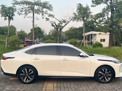 2025 Changan Eado Blue Whale 1.5T 500Bar Flagship, фото 4, лот 10842447