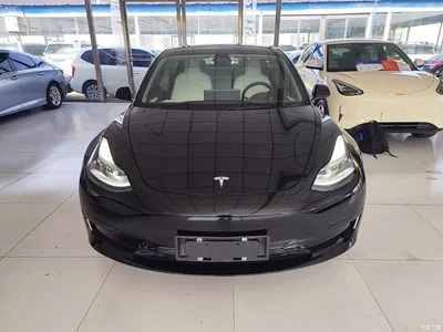 2022 Tesla Model 3 Model Rear-Wheel Drive Version, фото 3, лот 10370037