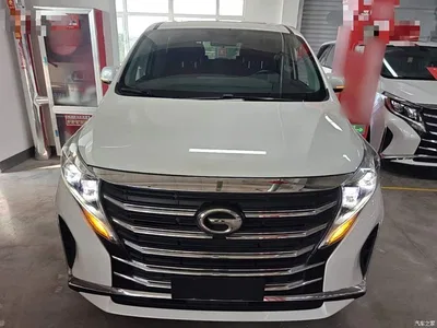 2024 GAC Trumpchi Trumpchi M8 Leadershow Series 390T Luxury Edition, фото 3, лот 11087430