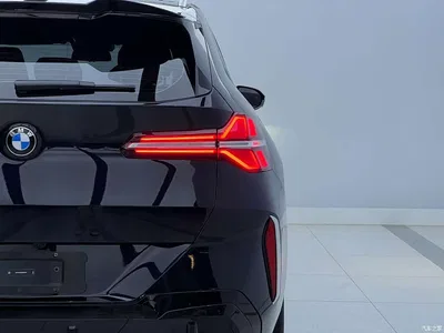 2025 BMW X3 xDrive25L Luxury Package, фото 4, лот 10408747