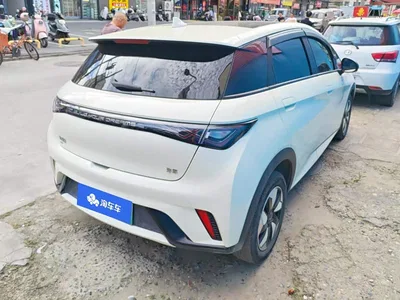 2024 BYD Dolphin Glory Edition 420km Fashion Edition, фото 3, лот 10616511