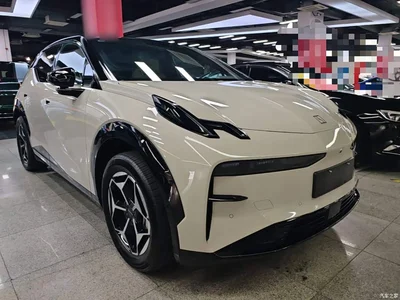 2025 ZEEKR X 5-Seater RWD Edition, фото 4, лот 10780481