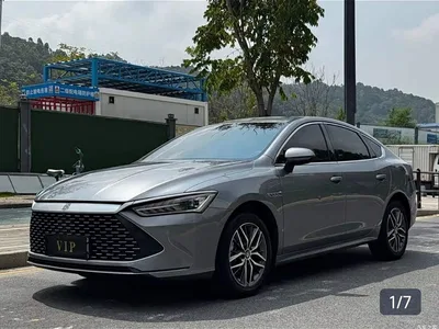 2023 BYD Qin PLUS Champion Edition DM-i 120KM Surpassing Type, фото 2, лот 10389606