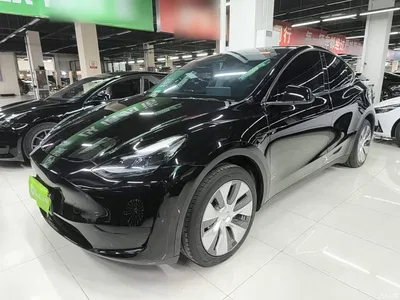 2022 Tesla Model Y Facelift Rear-Wheel Drive Version, фото 2, лот 11134371