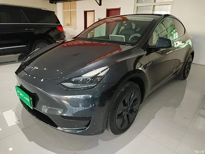 2024 Tesla Model Y Rear-Wheel Drive Version, фото 1, лот 10369615