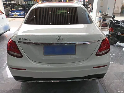 2020 Mercedes-Benz E-Class E 300 L Sport Luxury Model, фото 4, лот 10267417